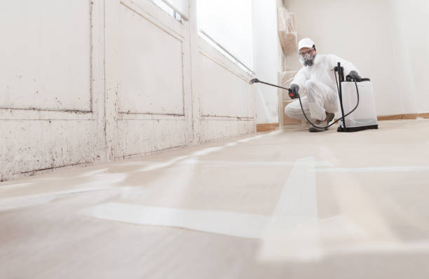 24/7 Emergency Mold Removal experts in Sparta, MI