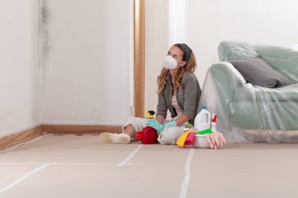 Reliable Mold Removal contractor in Sparta, MI by WQB Mold Removal